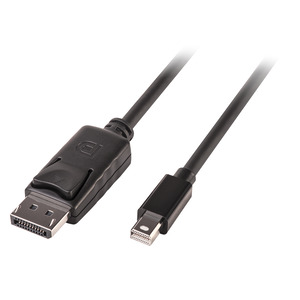 Mini DP zu DP Kabel Schwarz 2 m