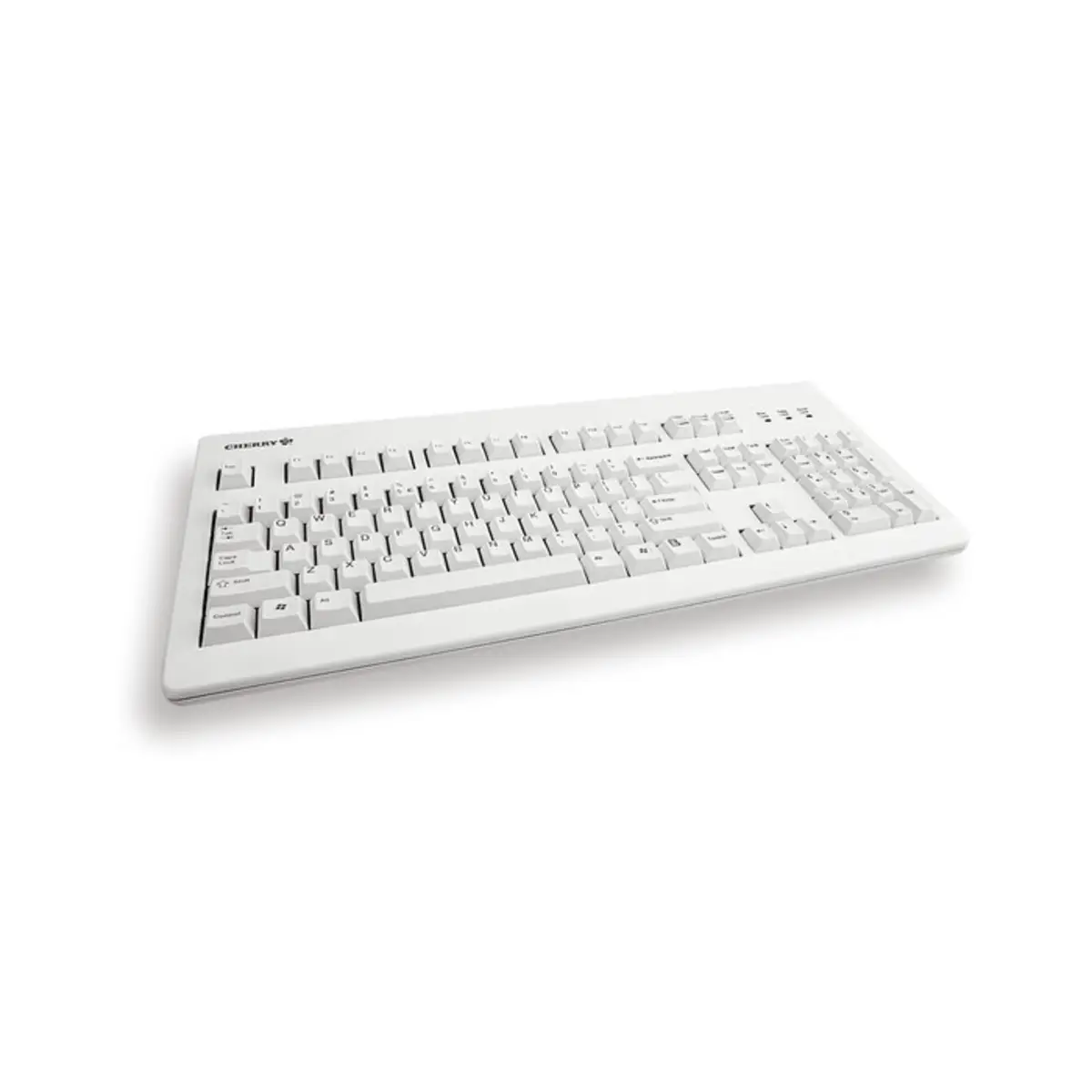 Tastatur G80-3000 PS/2/USB grau Tastatur-Layout Deutsch