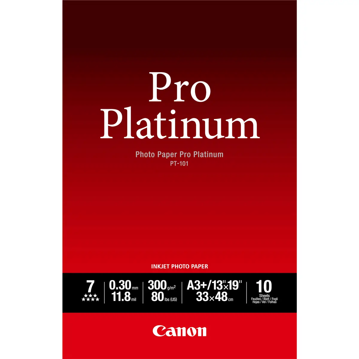 Fotopapier PT-101 A3+ 300g/qm 329x423mm 10Blatt