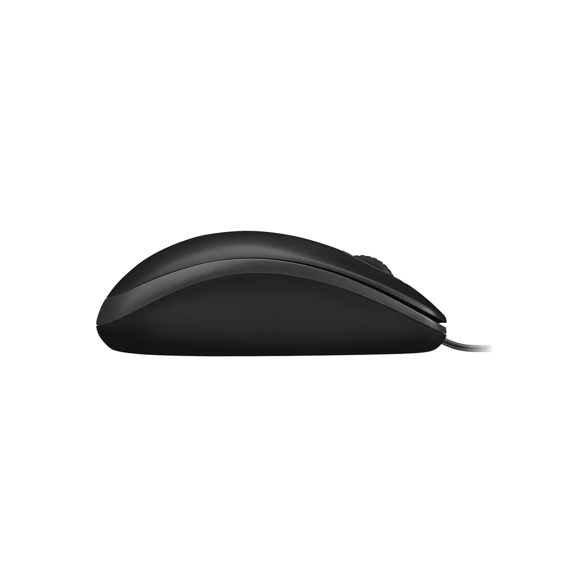 MK120 Desktop Tastatur/Mouse-Set schwarz