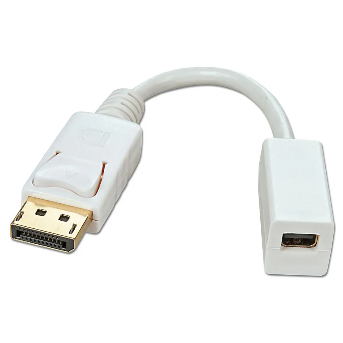 DisplayPort/Mini DisplayPort adaptor