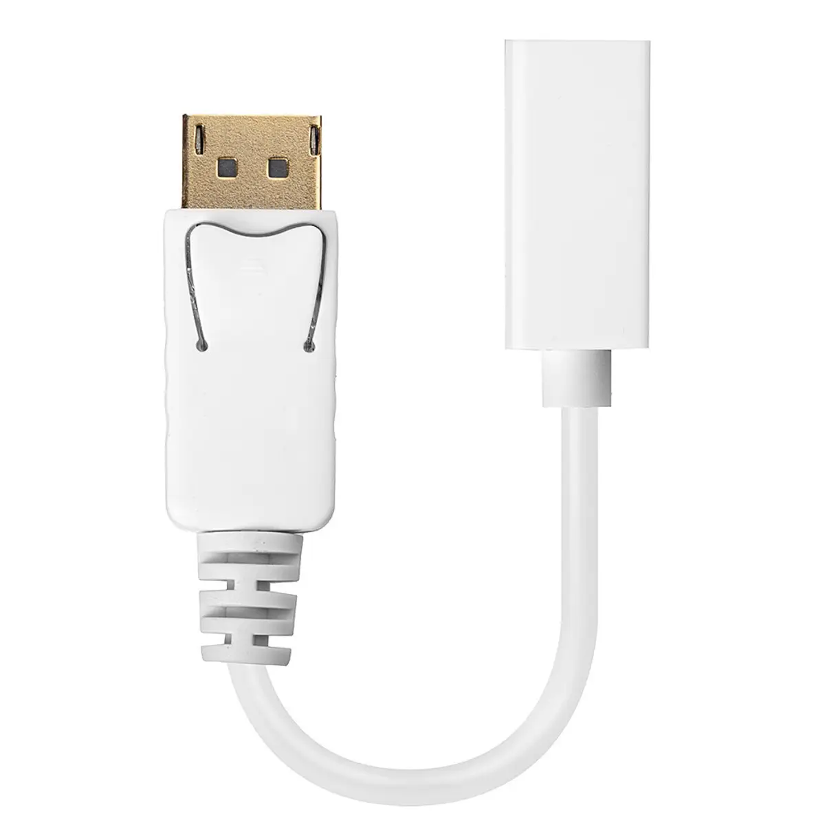 DisplayPort/Mini DisplayPort adaptor