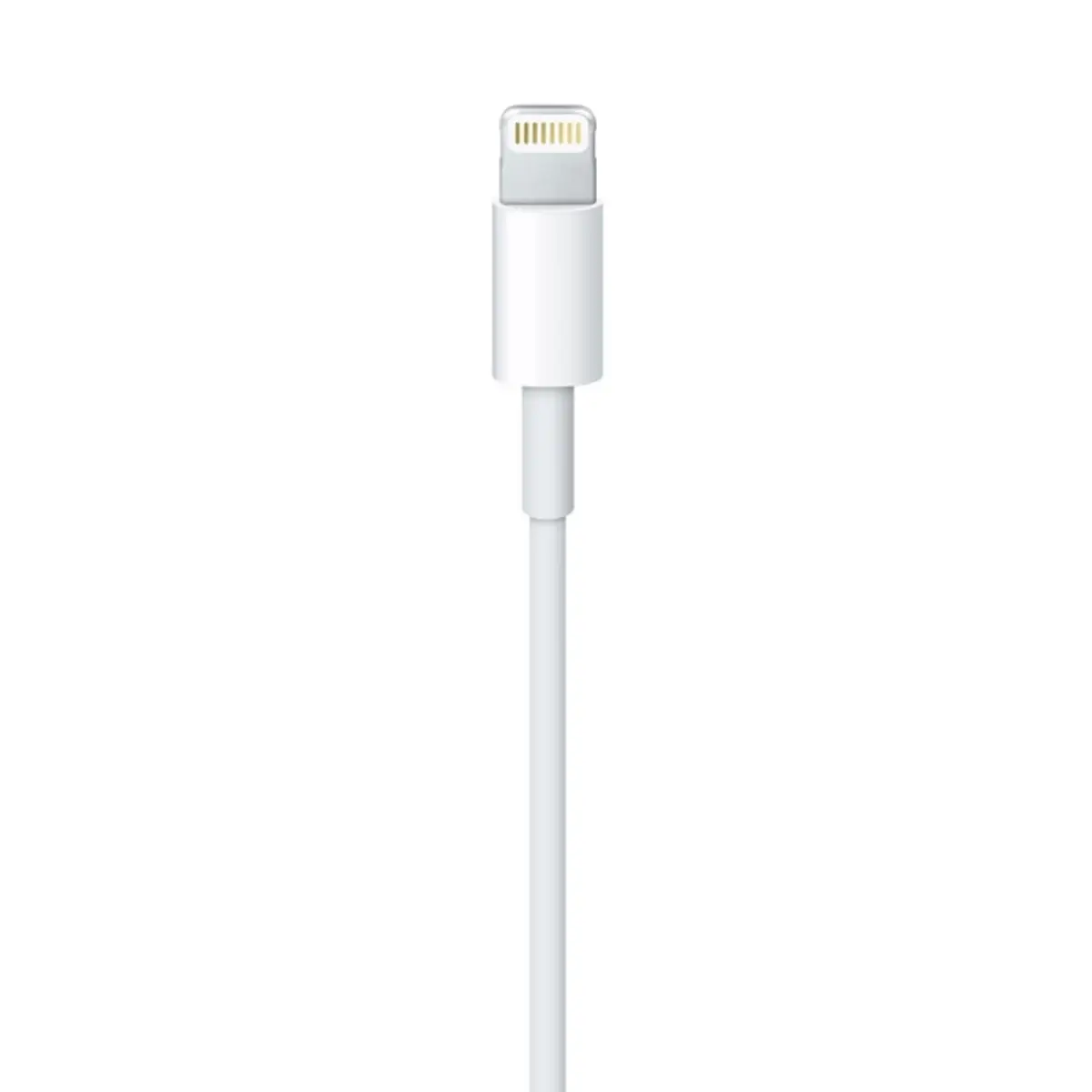 Lightning auf USB Kabel (2 m)