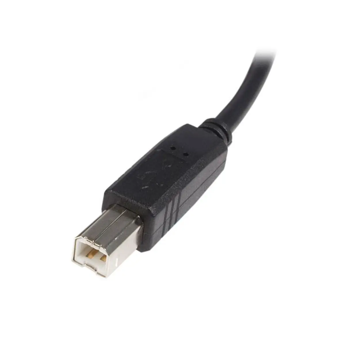 USB Kabel USB-A/USB-B Männlich/Männlich Schwarz 3m