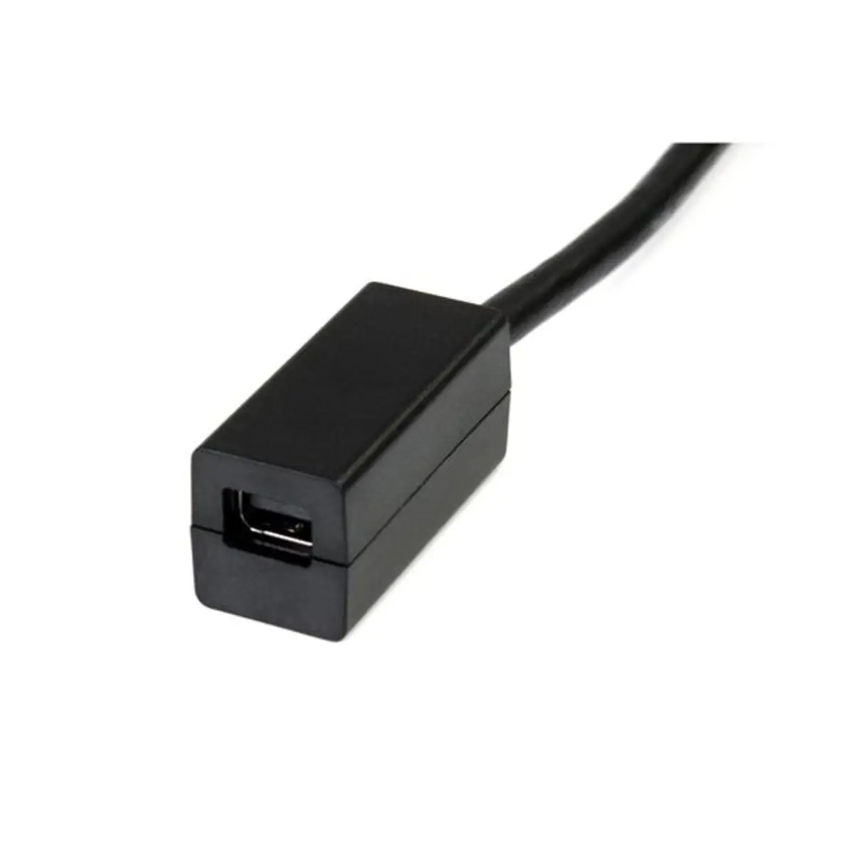 StarTech DisplayPort to Mini DisplayPort adaptor 0,15 m