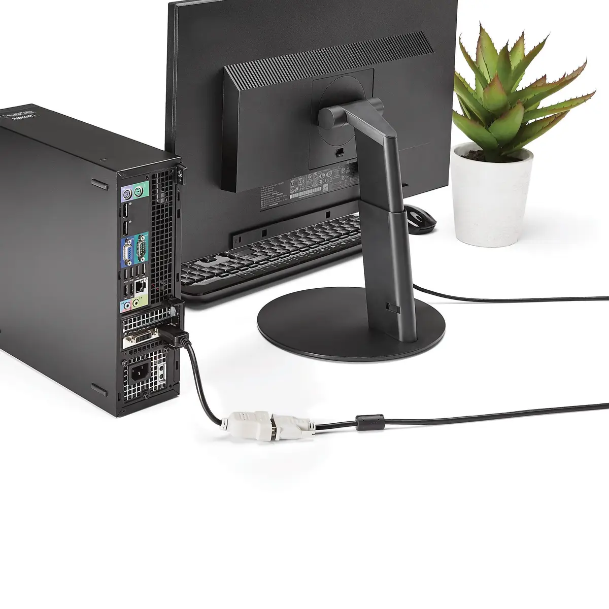 DisplayPort/DVI Adapter Stecker/Buchse 0,24 m