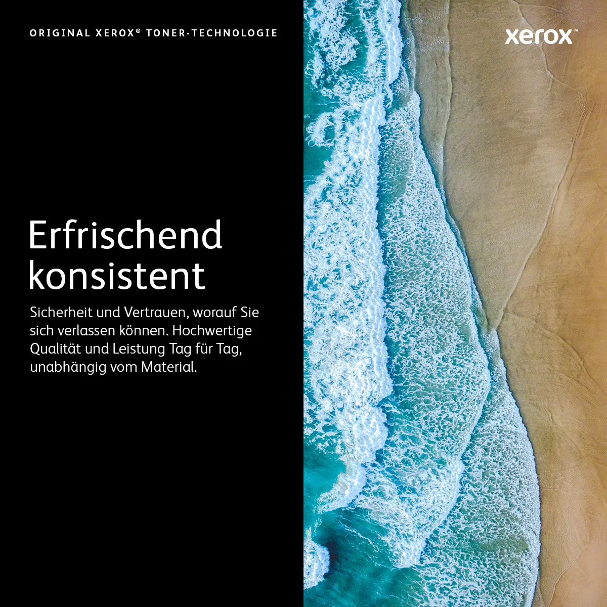 Trommel-Einheit für Phaser 5500 ca. 60.000Seiten, 2 Jahre Herstellergarantie
