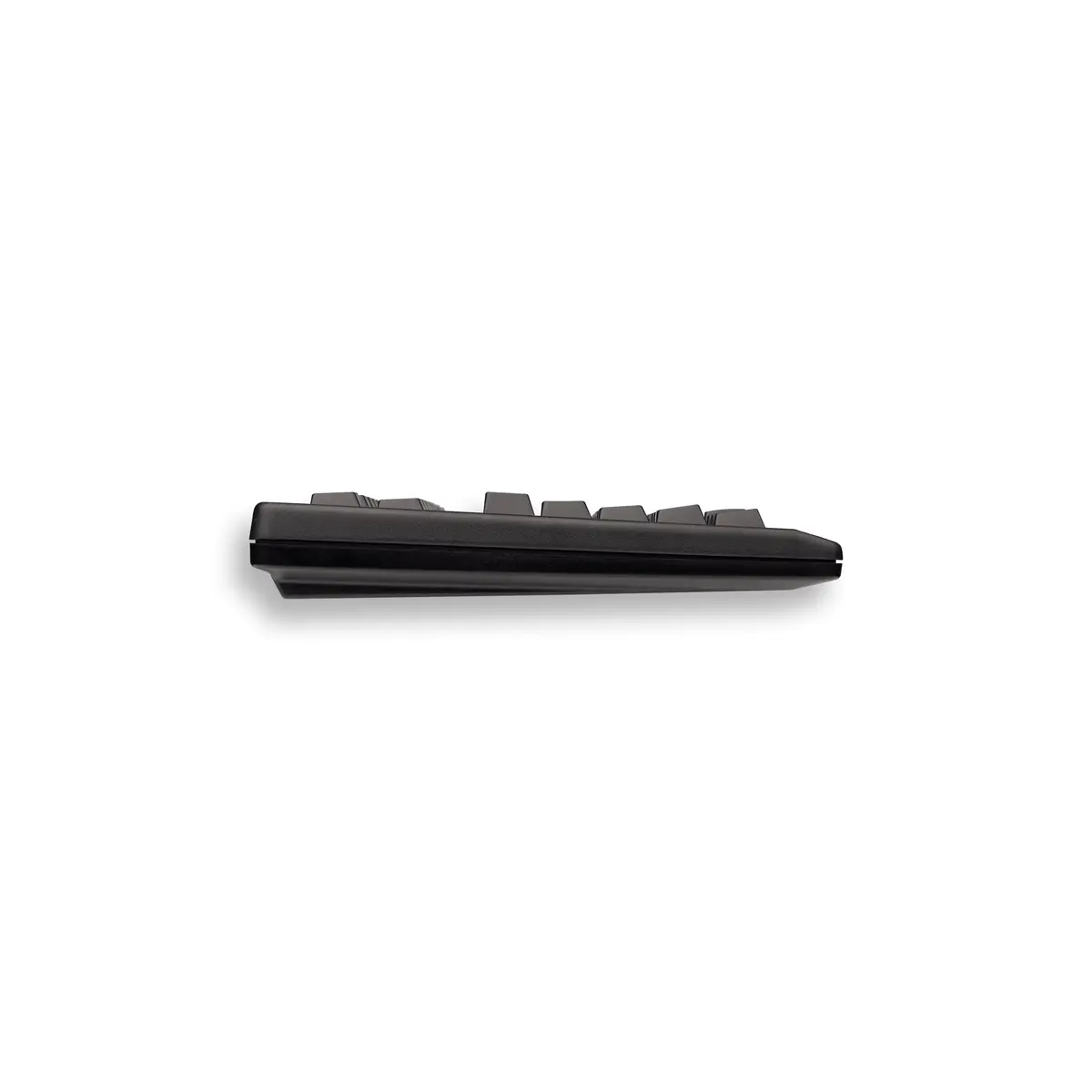 Tastatur G80-11900 USB schwarz Tastatur-Layout Deutsch integr. Touchpad