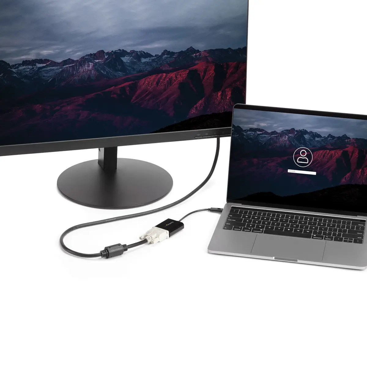 USB-C auf DVI Adapter