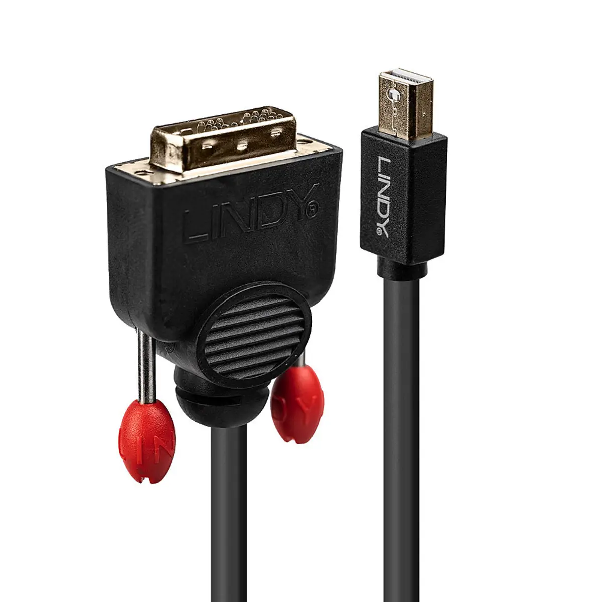 Anschlusskabel Mini DisplayPort/DVI-D Stecker/Stecker Schwarz 3m