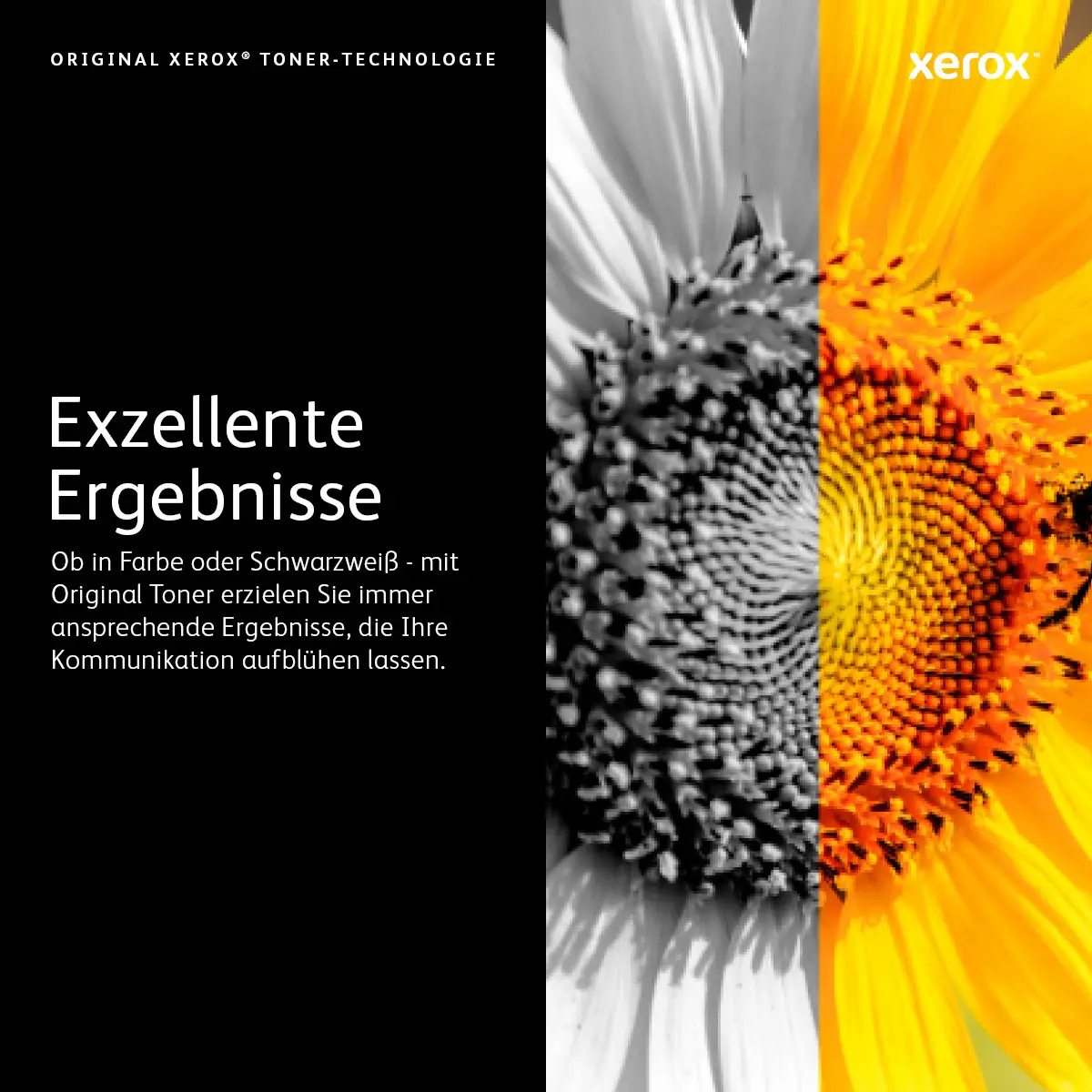 Toner 106R03759 ca. 10100 Seiten magenta