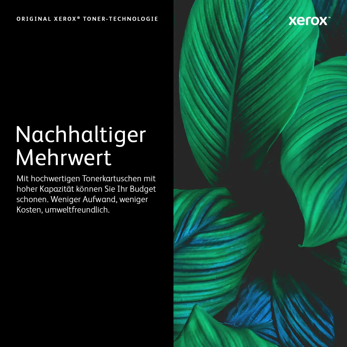 Toner 106R03757 ca. 10700 Seiten schwarz