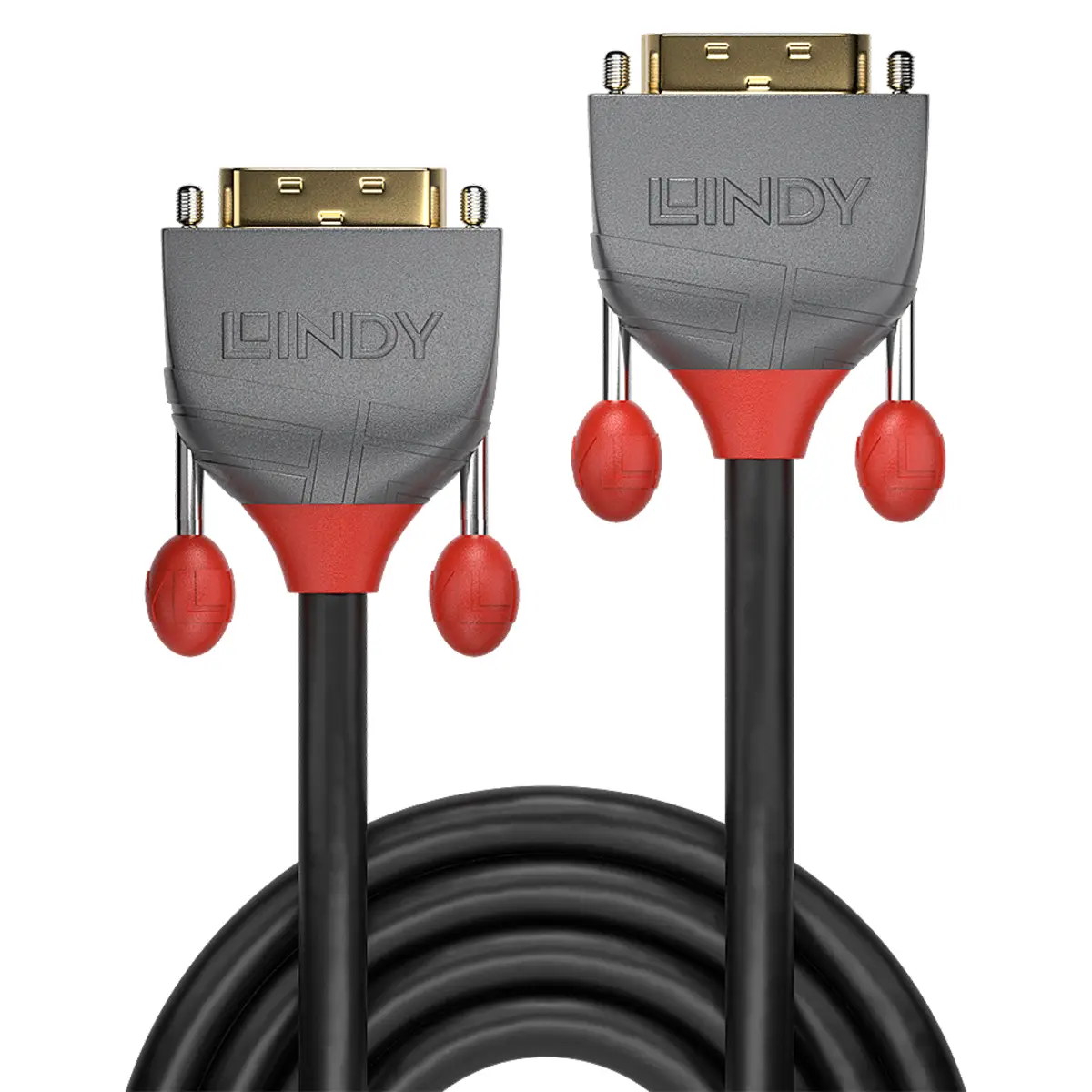 Anthra Line DVI-D Anschlusskabel Stecker/Stecker Schwarz 0,5 m