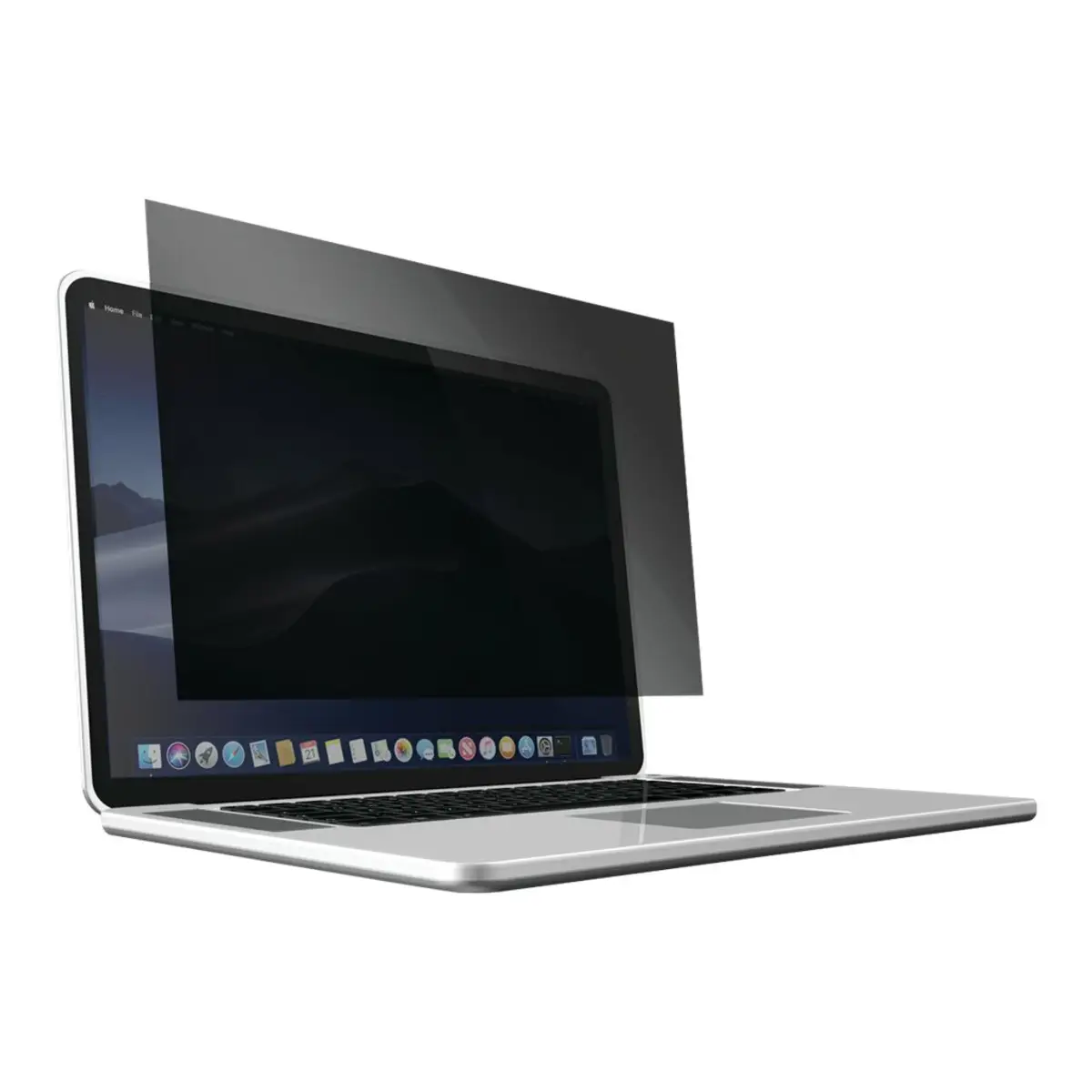 Blickschutzfilter 2-fach, abnehmbar für 17" Laptops 5:4