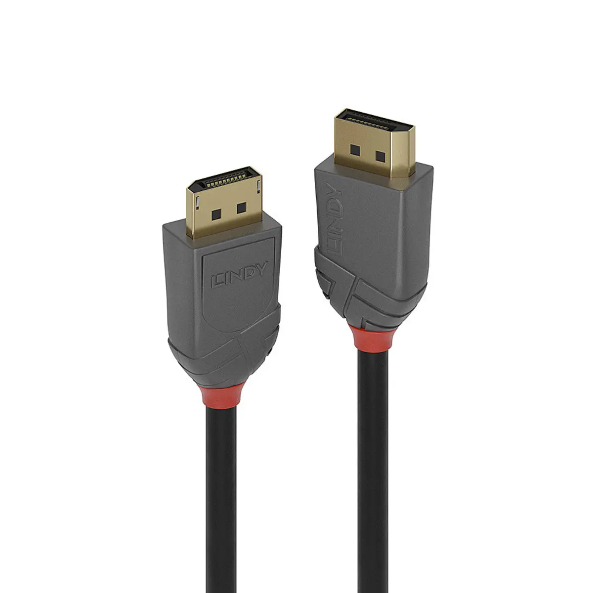DisplayPort Kabel Stecker/Stecker 2 m