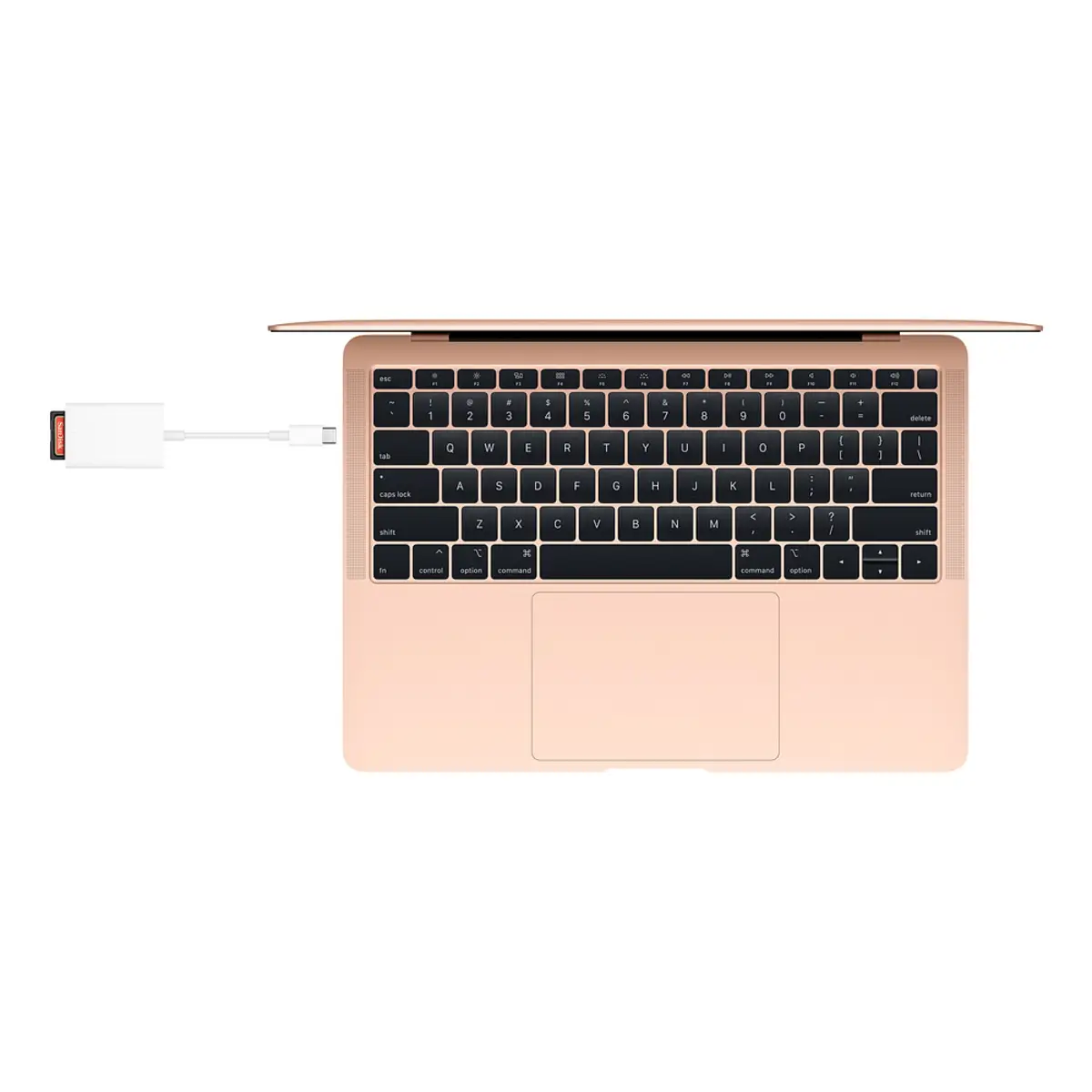 USB-C zu SD Card Reader