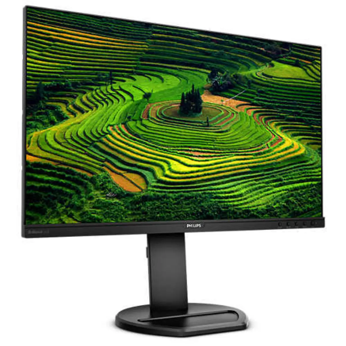 LED Monitor B Line 62 cm (24") 1920x1080 1000:1 250 cd/m² 5 ms Lautsprecher HDMI VGA DP DVI schwarz