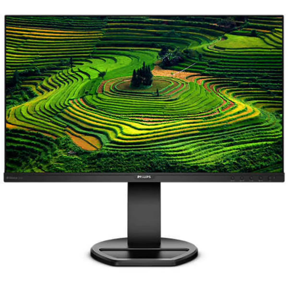 LED Monitor B Line 62 cm (24") 1920x1080 1000:1 250 cd/m² 5 ms Lautsprecher HDMI VGA DP DVI schwarz
