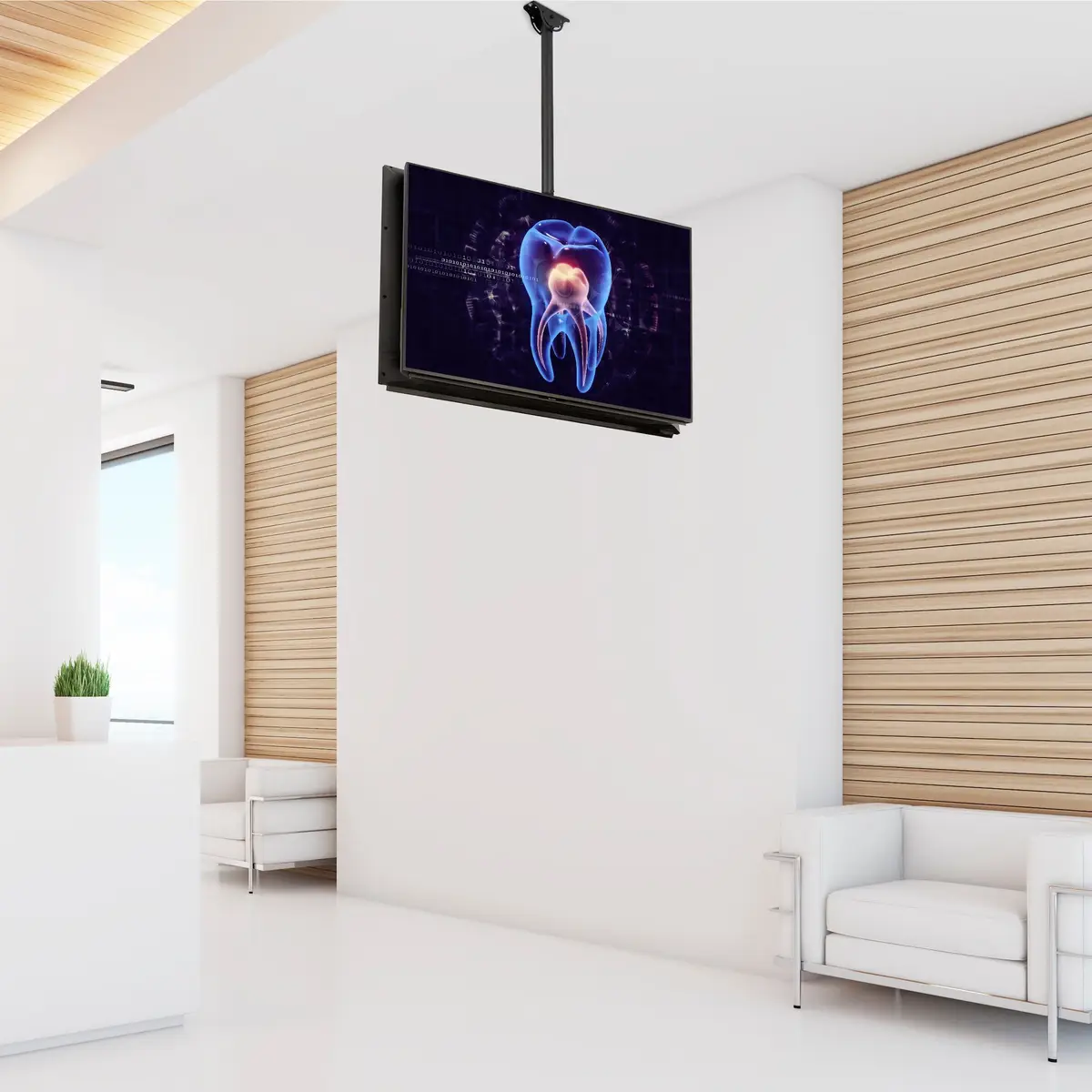 Rücken-an-Rücken TV-Deckenhalter Stangenlänge 1,06 m bis 1,52 m