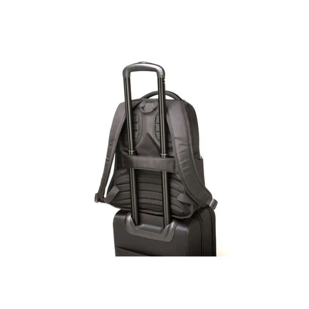 Contour 2.0 Business Backpack für 39,6cm (15,6") Notebooks Polyester schwarz