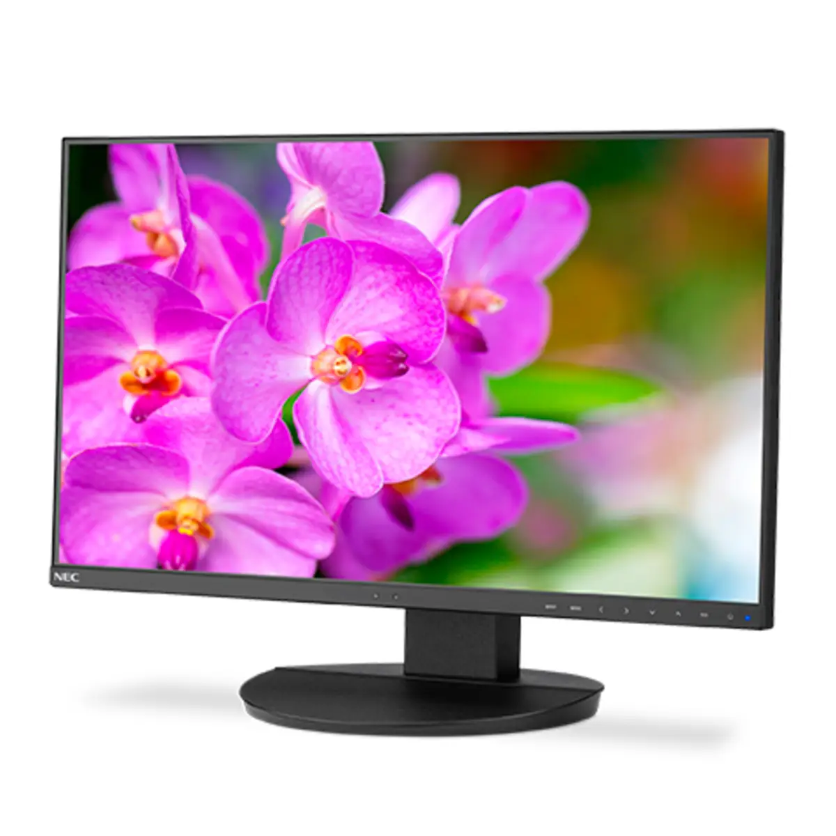 MultiSync EA241F 60.96 cm (24") Display 1920x1080 Display 250 cd/m² 1000:1 5 ms Schwarz
