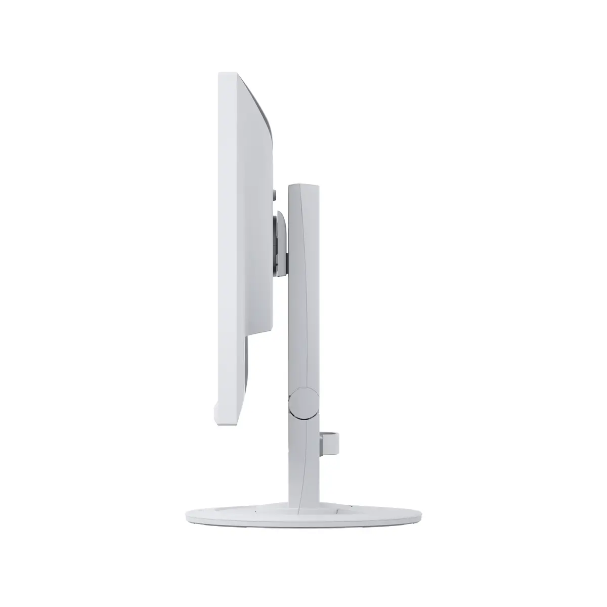 EV2460-WT 60.5cm (23.8") Display 1920x1080 Pixel 250 cd/m² 1000:1 5ms Pivot Weiß