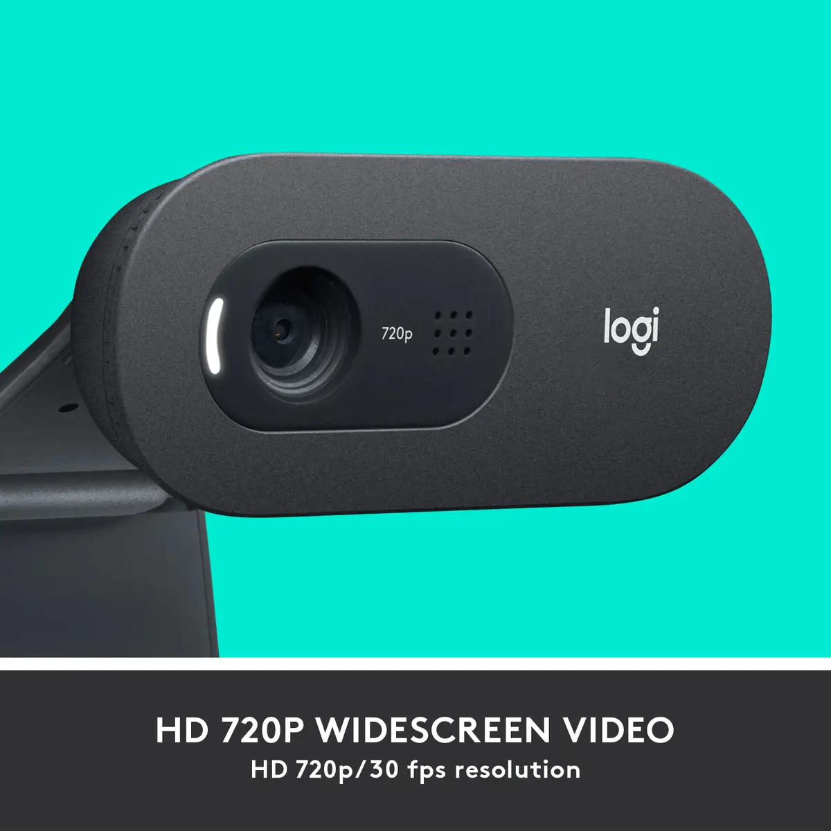 C505 HD Webcam 1280x720 Pixel schwarz