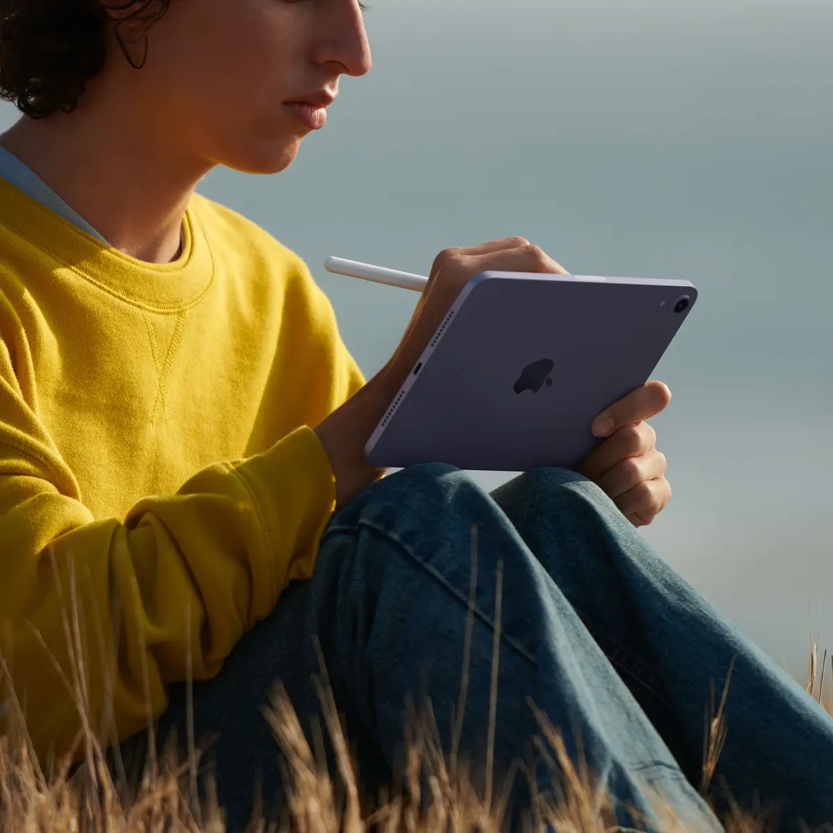 iPad mini (2021) 8,3" 64GB WiFi rose