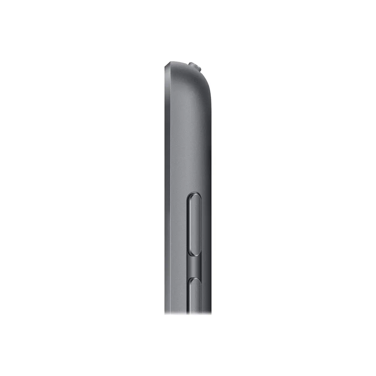iPad (2021) 10,2" 256GB WiFi space grau