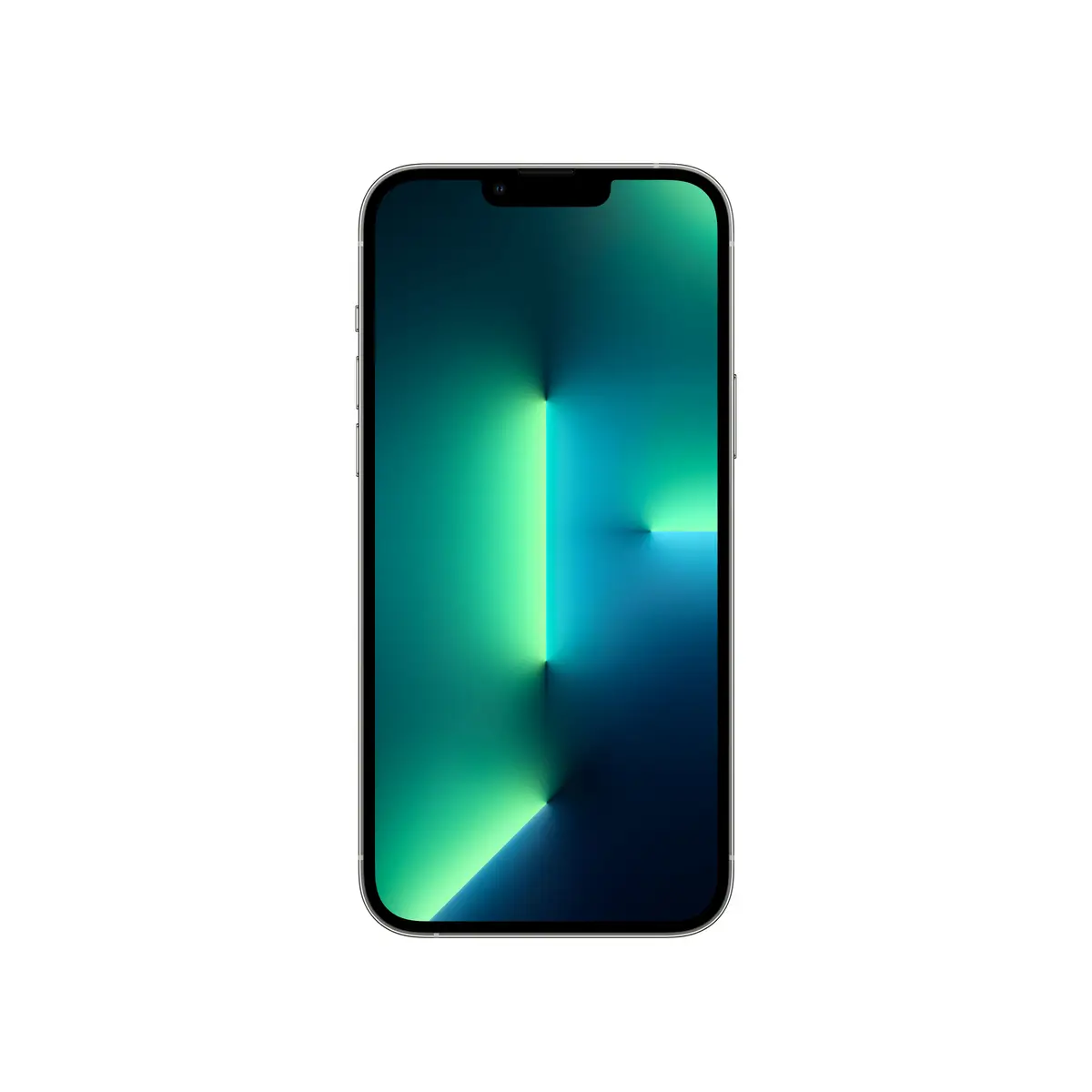 iPhone 13 Pro Max 1TB silber