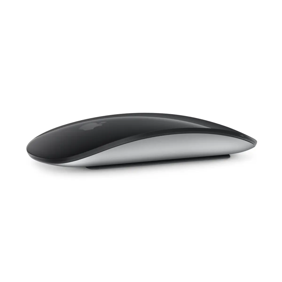 Magic Mouse Schwarz