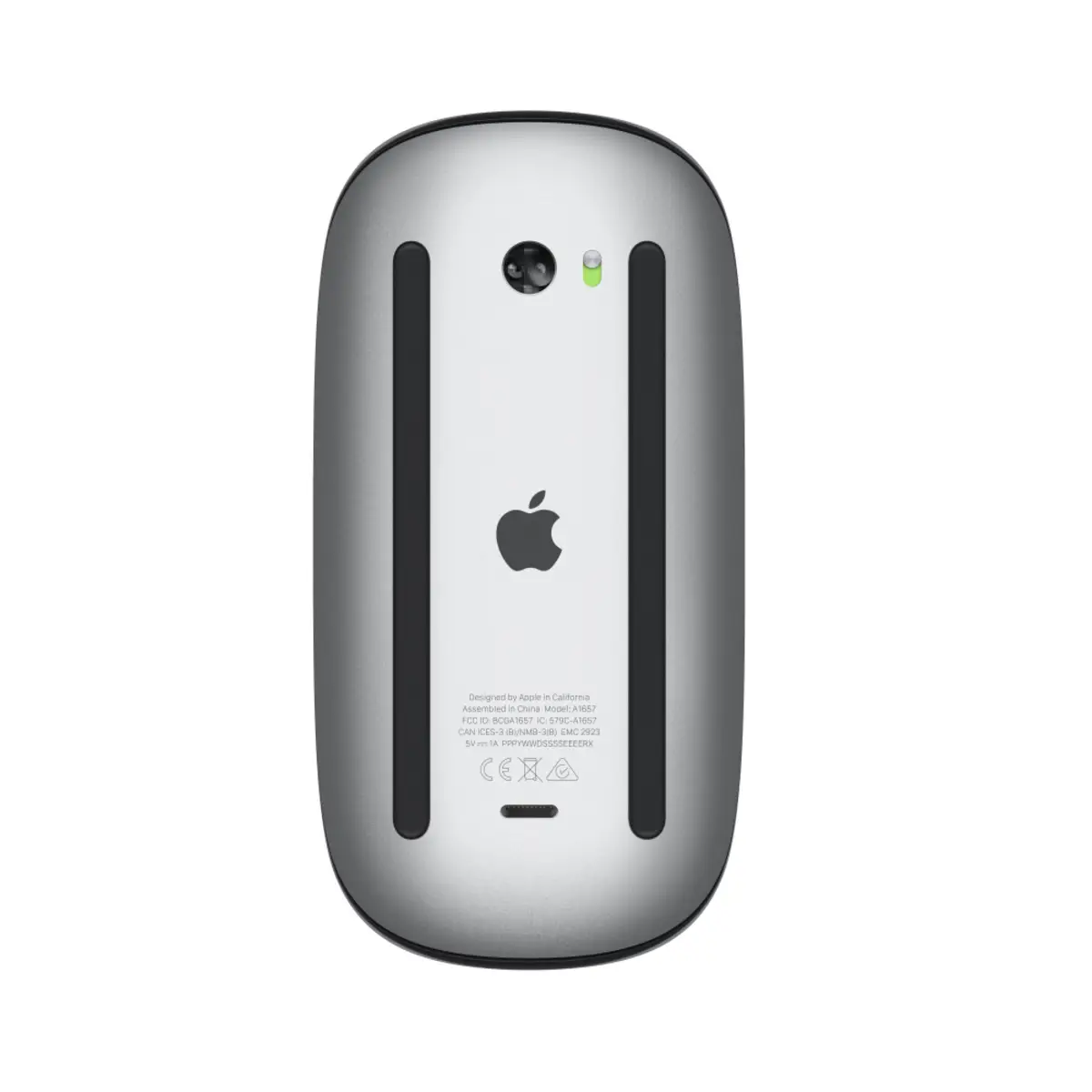 Magic Mouse Schwarz