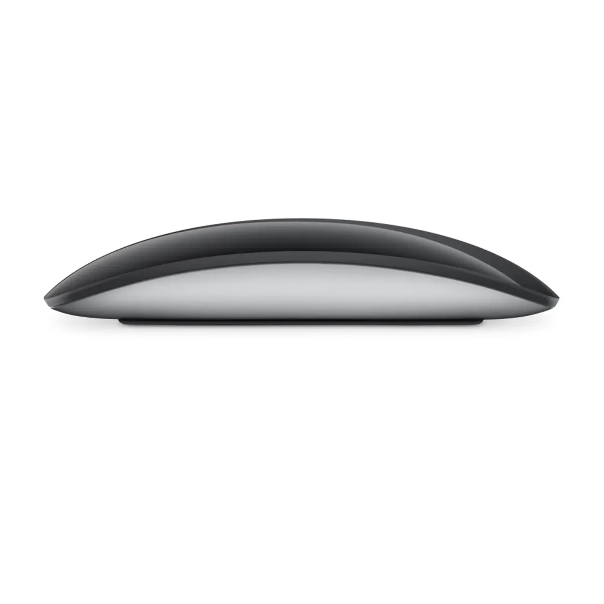 Magic Mouse Schwarz