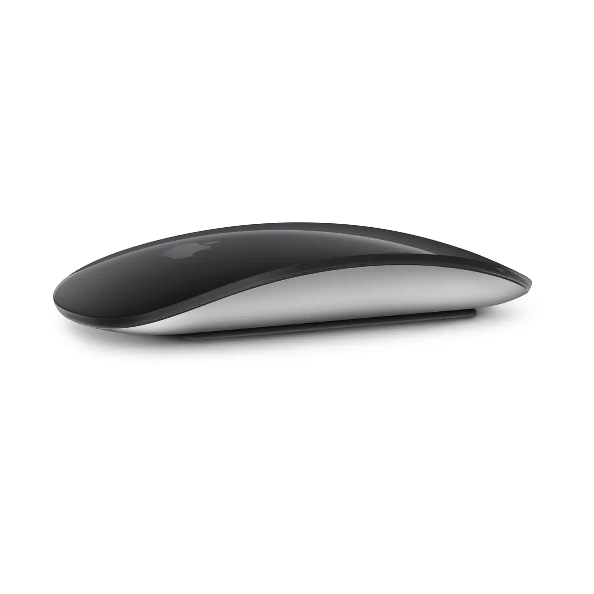 Magic Mouse Schwarz