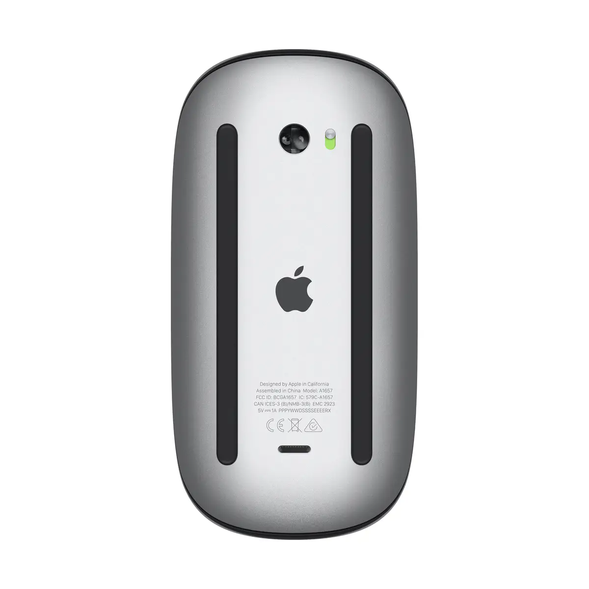 Magic Mouse Schwarz