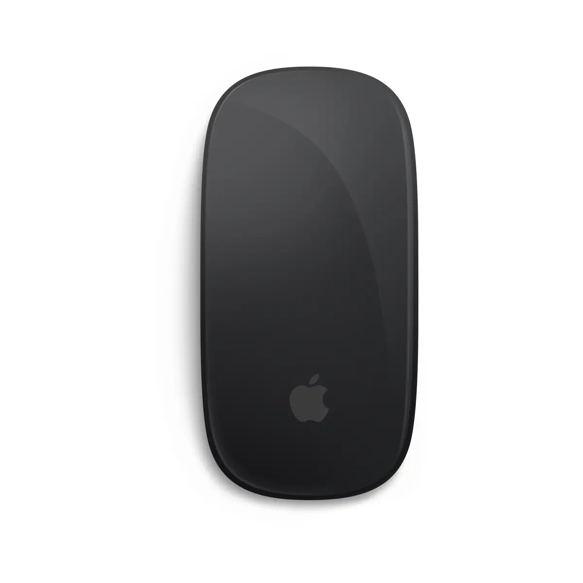 Magic Mouse Schwarz
