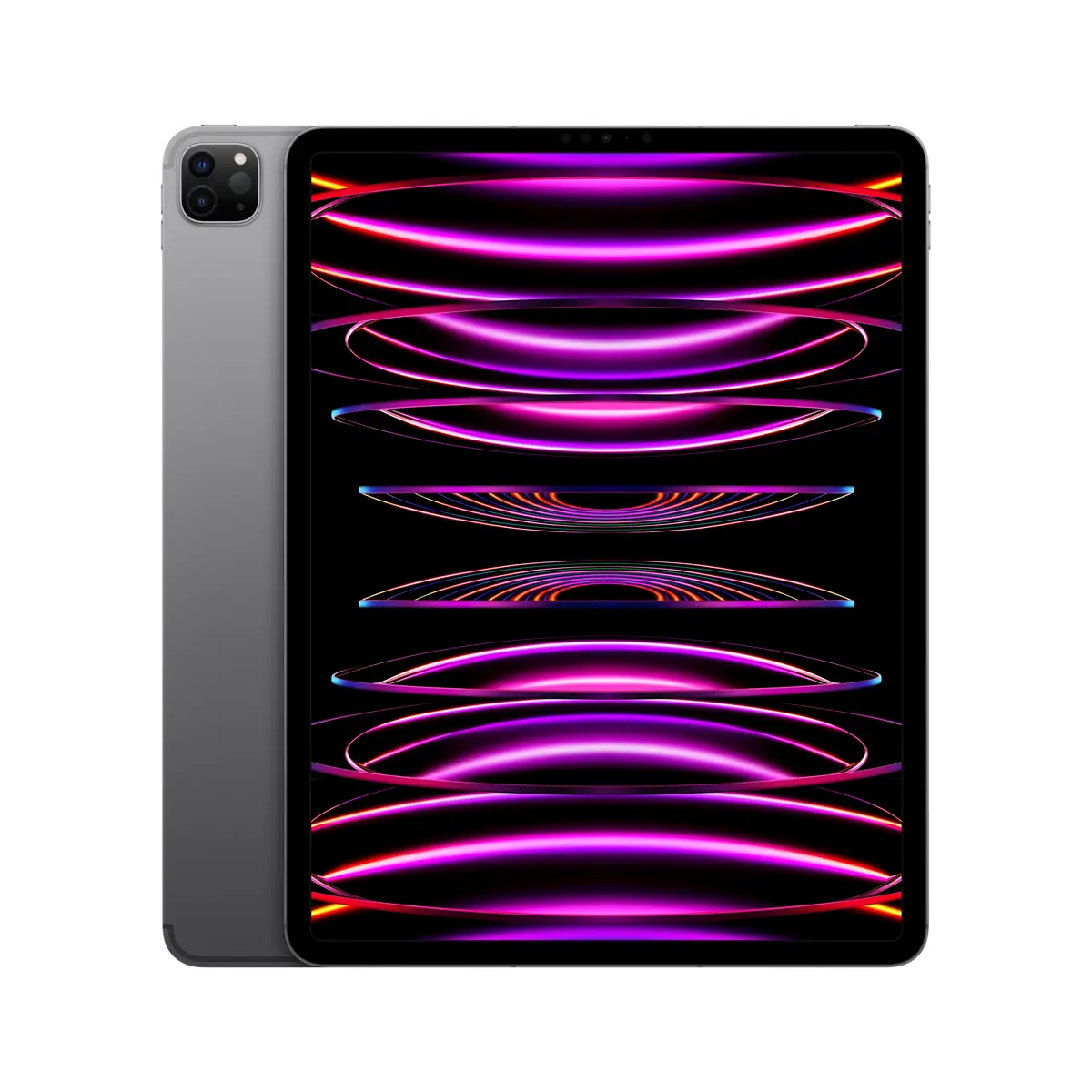 iPad Pro (2022) 12,9" 1TB WiFi+Cellular space grau