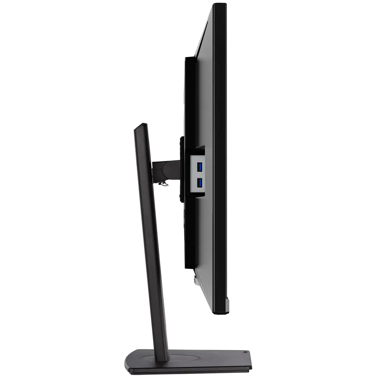 Prolite 31.5" (80 cm) Desktop-Monitor mit IPS-Panel-Technologie, einem KVM-Switch, USB-C-Dock und RJ45 (LAN) Anschluss