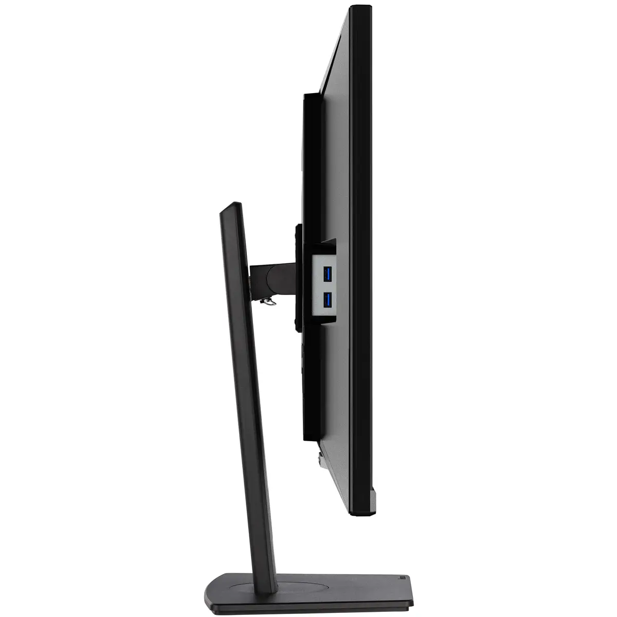 Prolite 31.5" (80 cm) Desktop-Monitor mit IPS-Panel-Technologie, einem KVM-Switch, USB-C-Dock und RJ45 (LAN) Anschluss