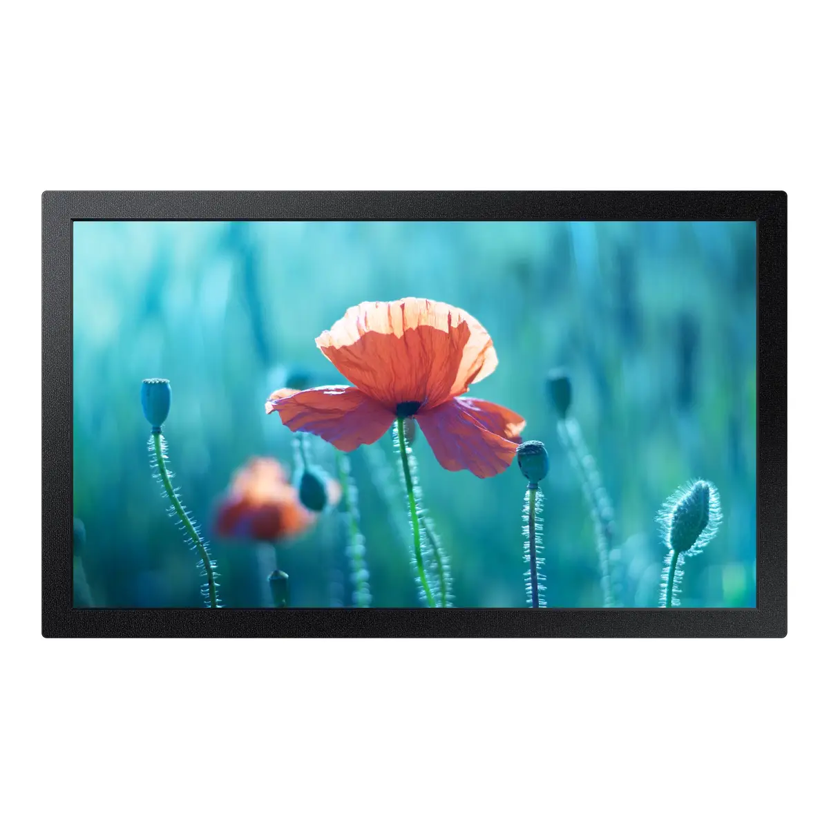 Public Display QB13R II 33cm 13"1920 x1080 FHD 500 cd/m² 16:9 RJ-45 (LAN) HDMI Schwartz