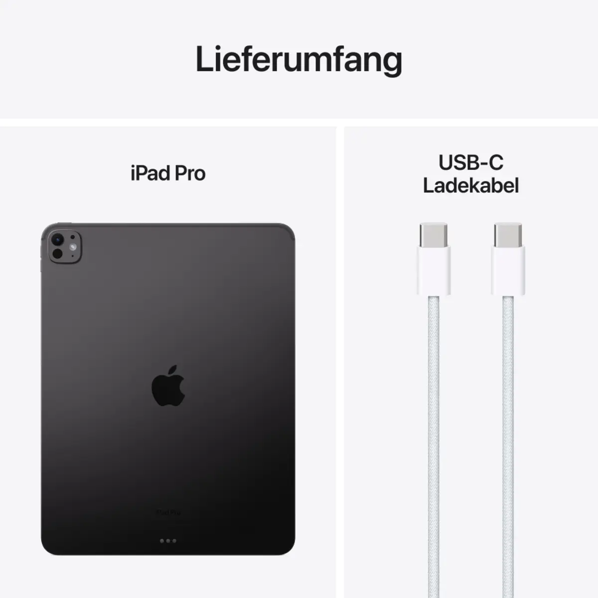 iPad Pro (2024) 13" 256GB WiFi + Cellular Standard Glass Space Schwarz