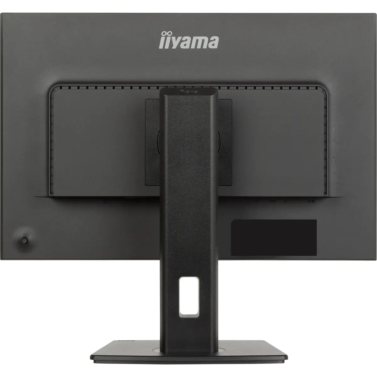 24W LCD Business WUXGA 16 10 IPS 61cm 24" 1920x1200 4ms 300 cd/m² 1000:1 Schwarz