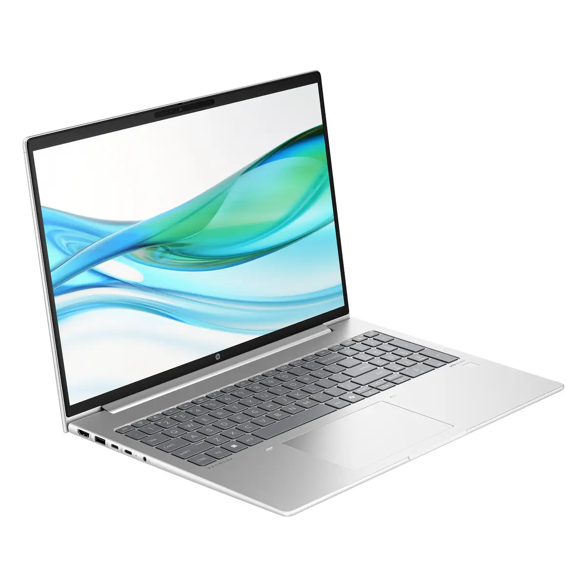 ProBook 465 G11 R7-7735U 32GB 1000GB 40,6 cm W11P
