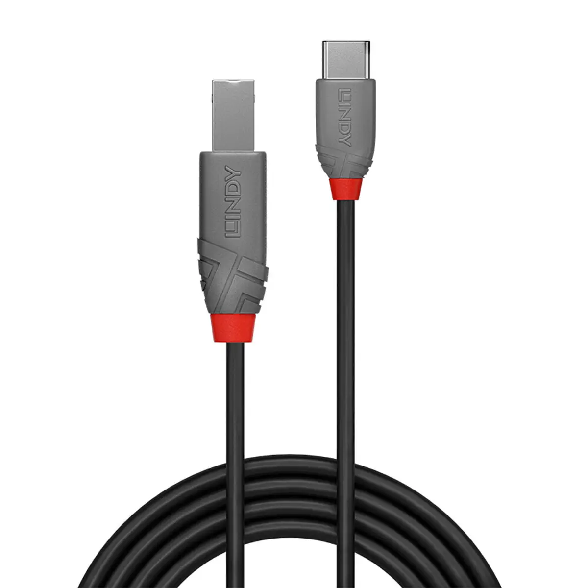 Anthra Line USB-Kabel USB Typ B/USB C 2.0 Stecker/Stecker Schwarz 0,5m