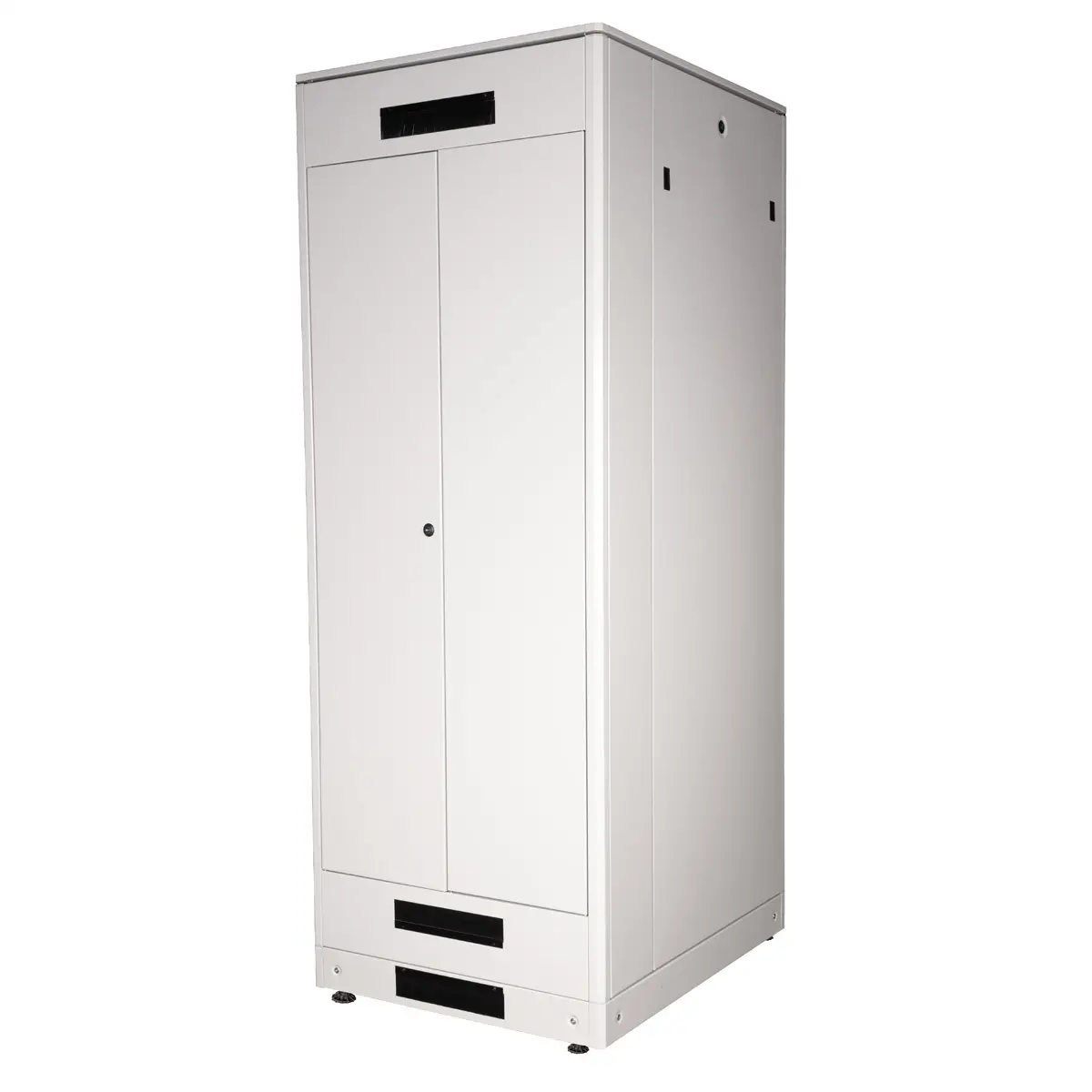 48,26cm (19") Netzwerkschrank Pro 42 HE 800x1000 BxT Glastur grau