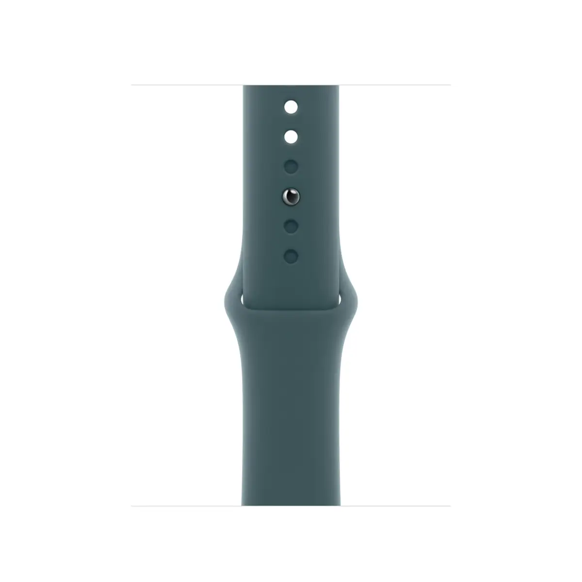 42mm Lake Green Sport Band, M/L