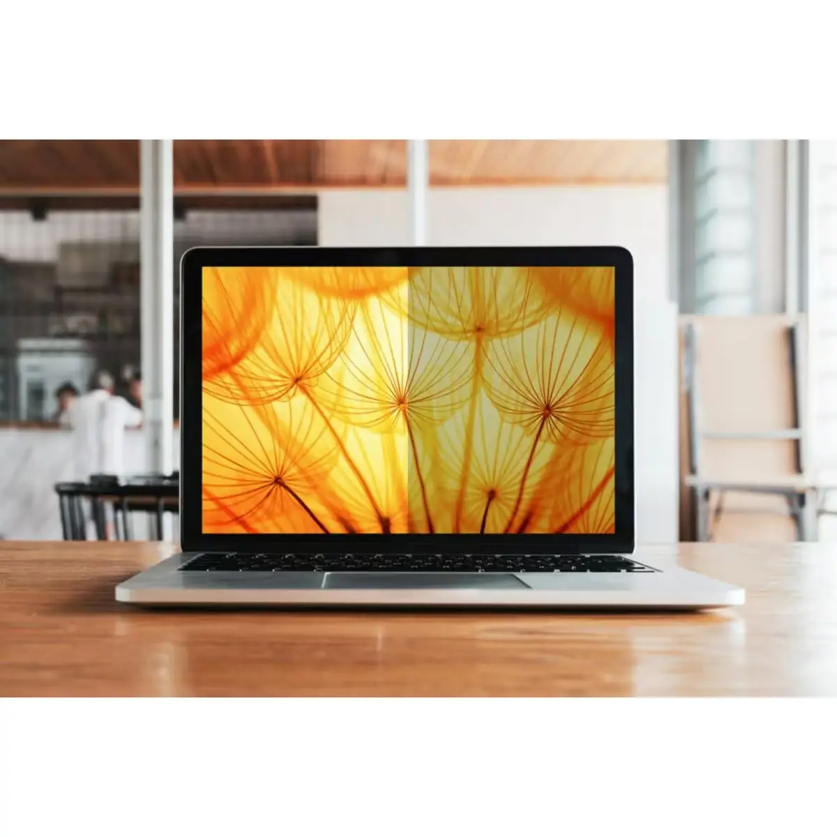 Bright Screen Privacy Filter für 33cm (13") Notebooks