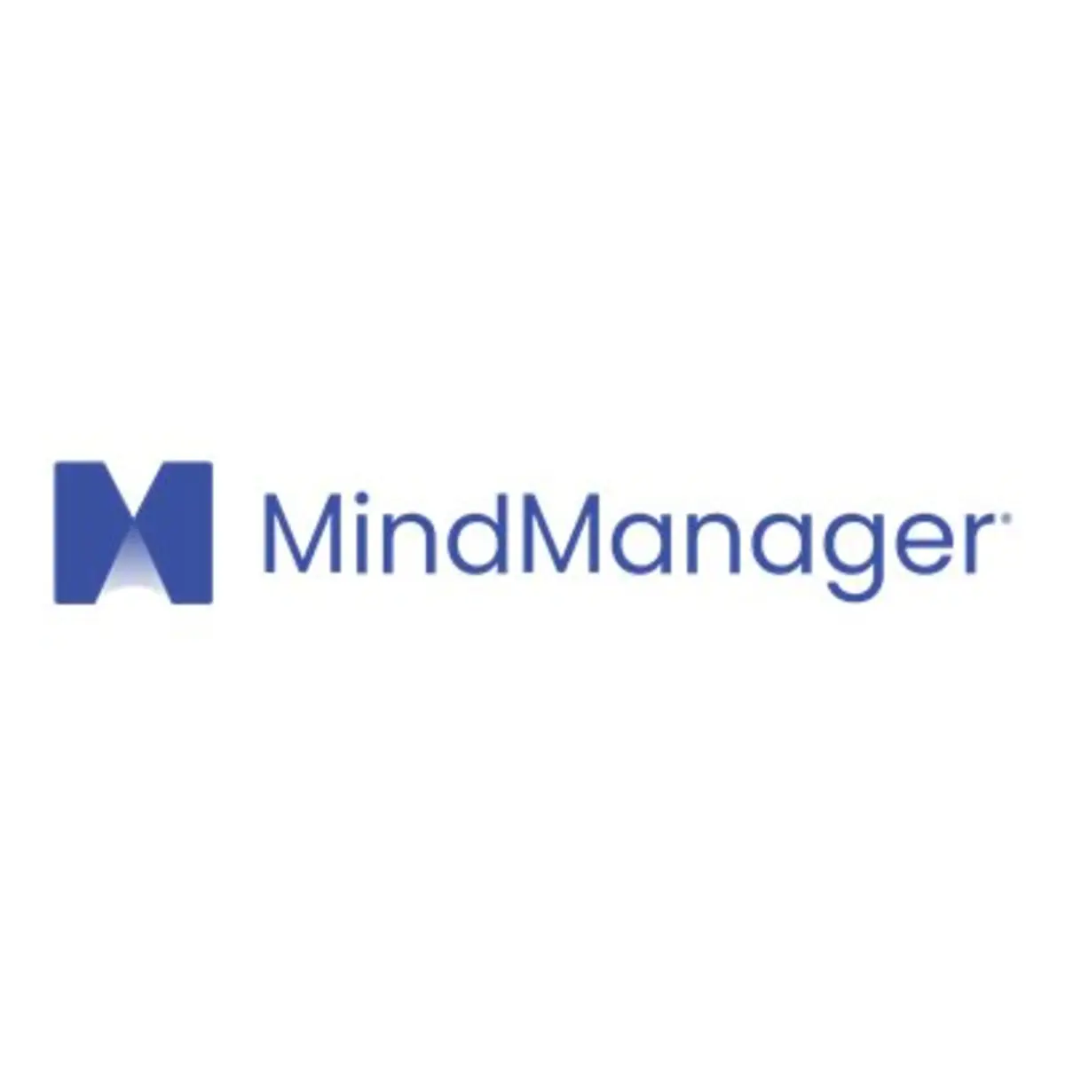 MindManager Enterprise MSA 1 Year Go Regierungs/Government Lizenz Nur Lizenz Jahre