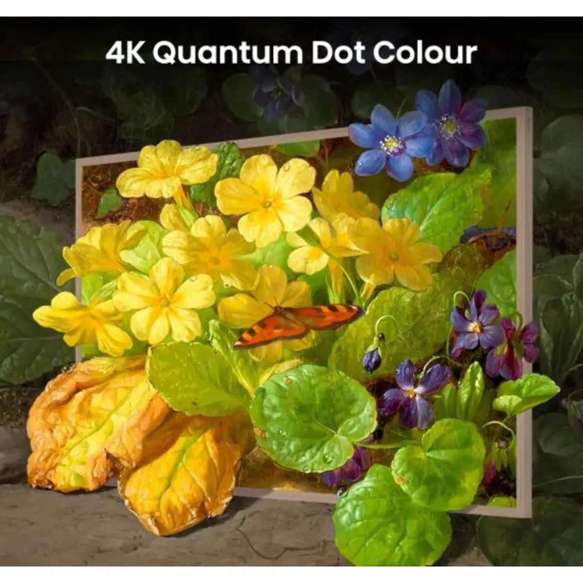 Smart-TV 55S7NQ139,7 cm 4K3840x21604K UHD 120Hz 16:09 Gold