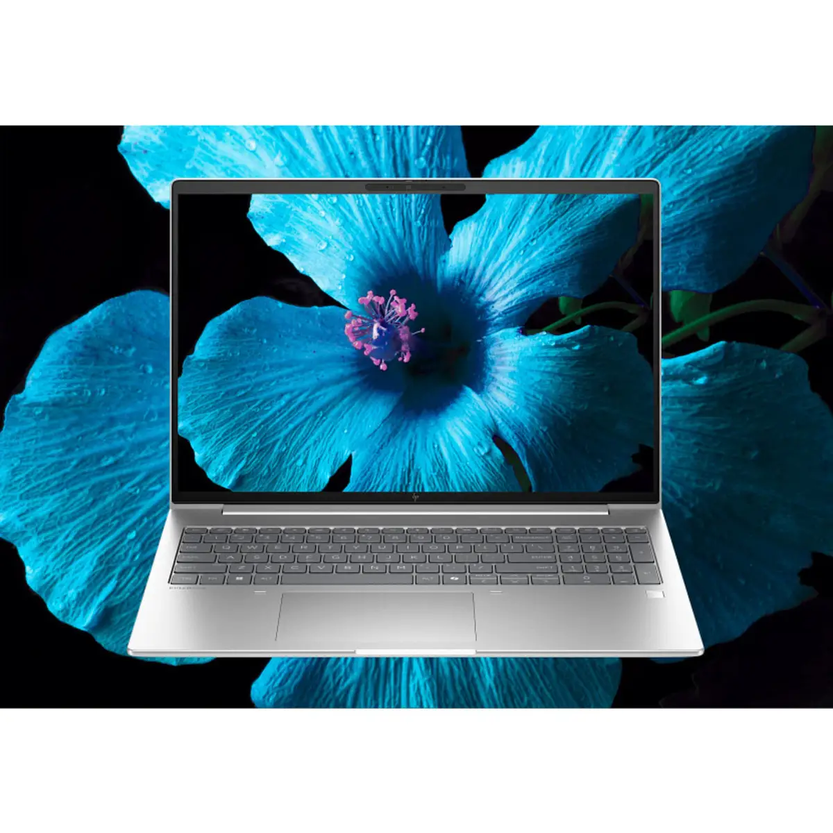 EliteBook 6 G1a 16 inch Notebook AI PC, 16", Windows 11 Pro, AMD Ryzen™ 7, 32GB RAM, 1TB SSD, WUXGA